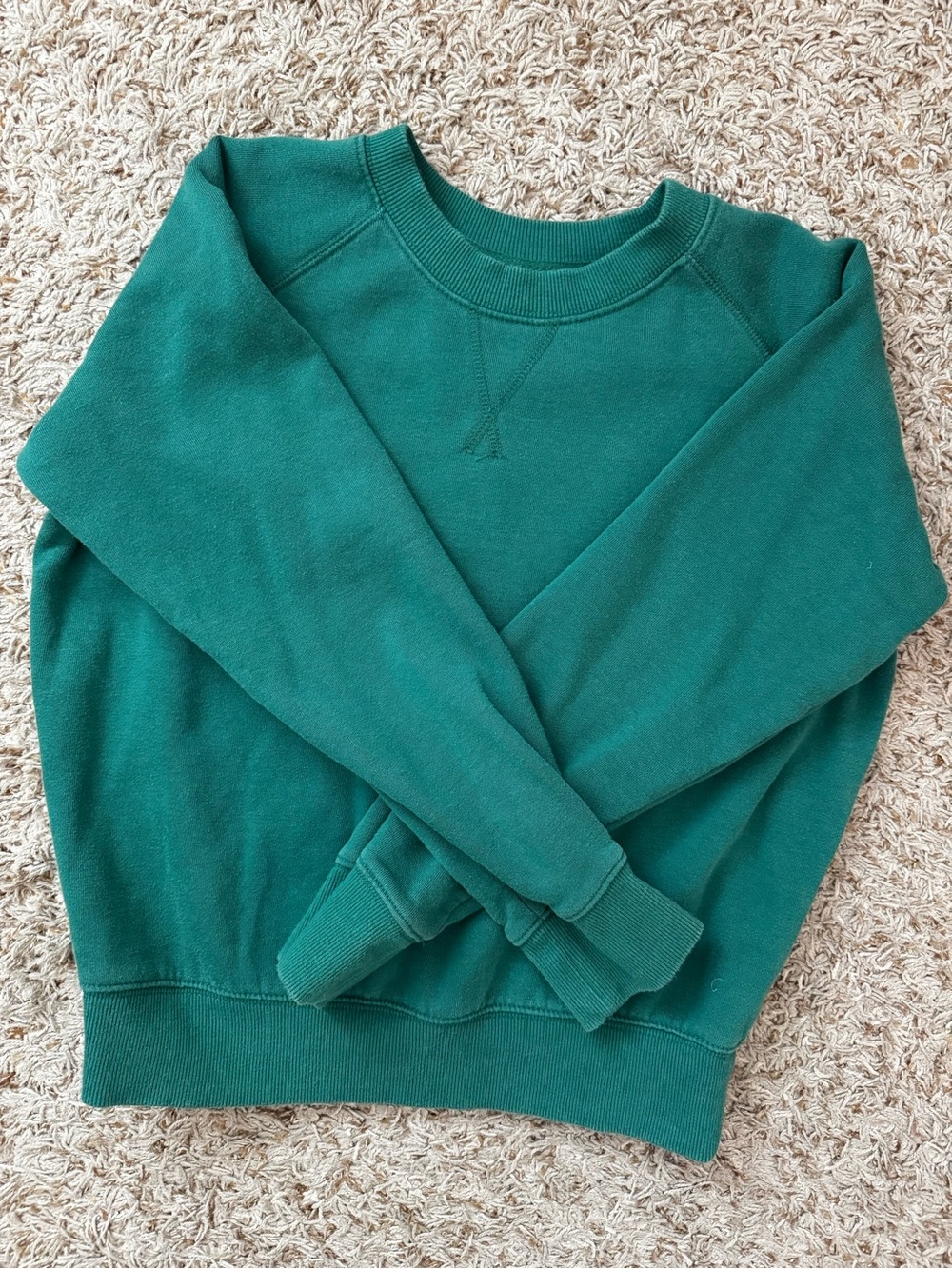 Richer Poorer Fleece Sweatshirt in Evergreen
